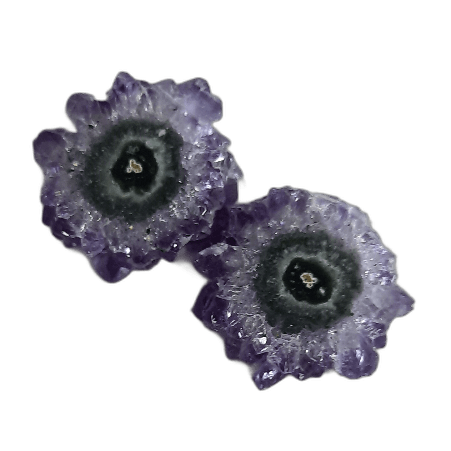 Amethyst flower scelectite
